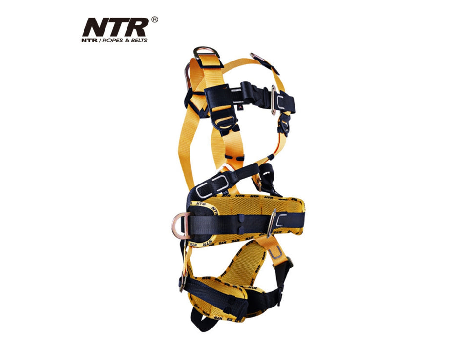 6-POINT FALL ARREST, WORK POSITIONING & CONFINED SPACE ENTRY HARNESS