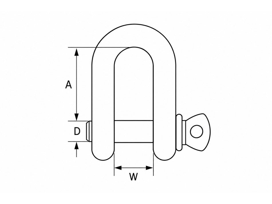 ZYT Stainless Steel D Shackle, Grade 304